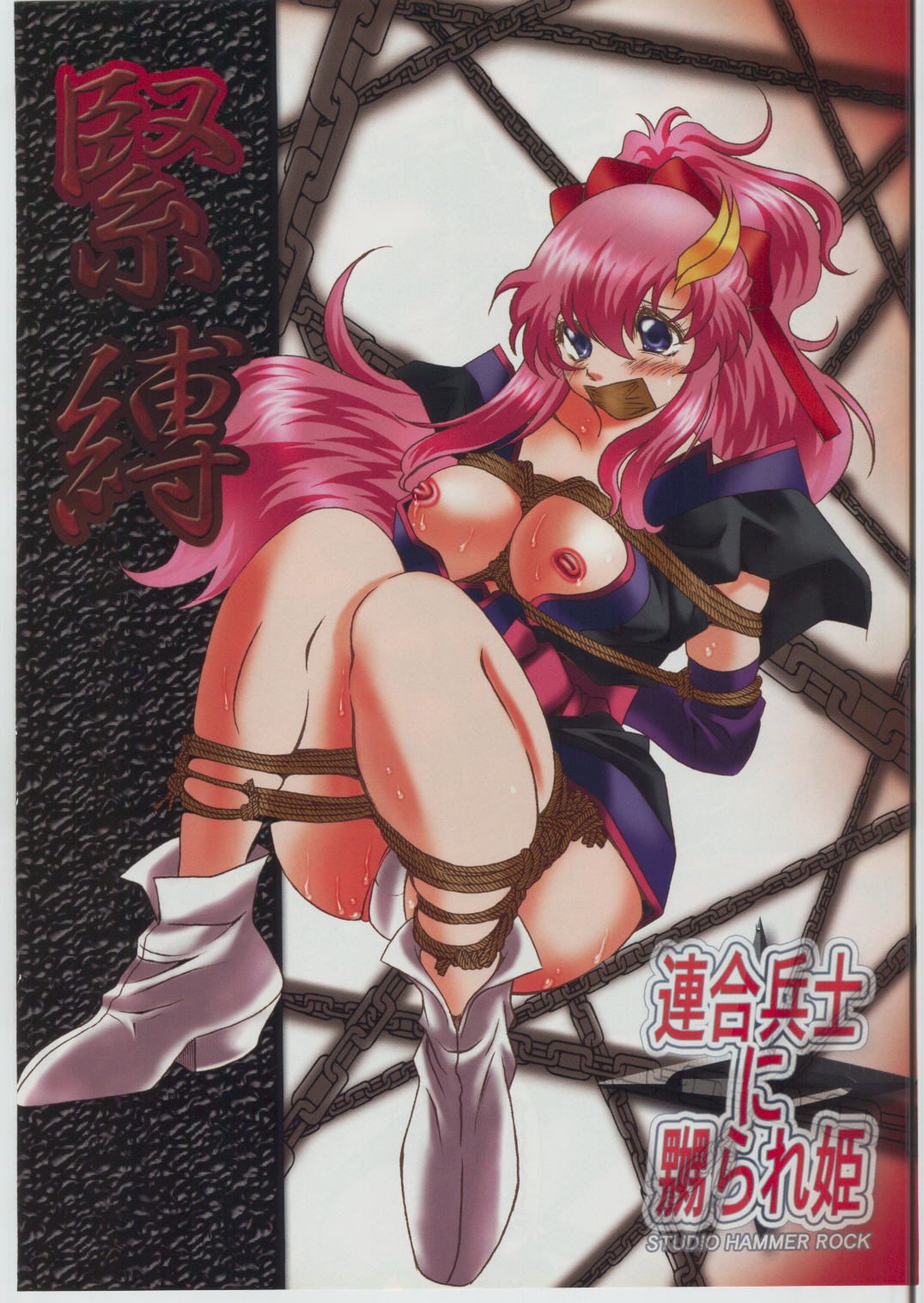 Rengou Heishi ni Naburare Hime page 3 full