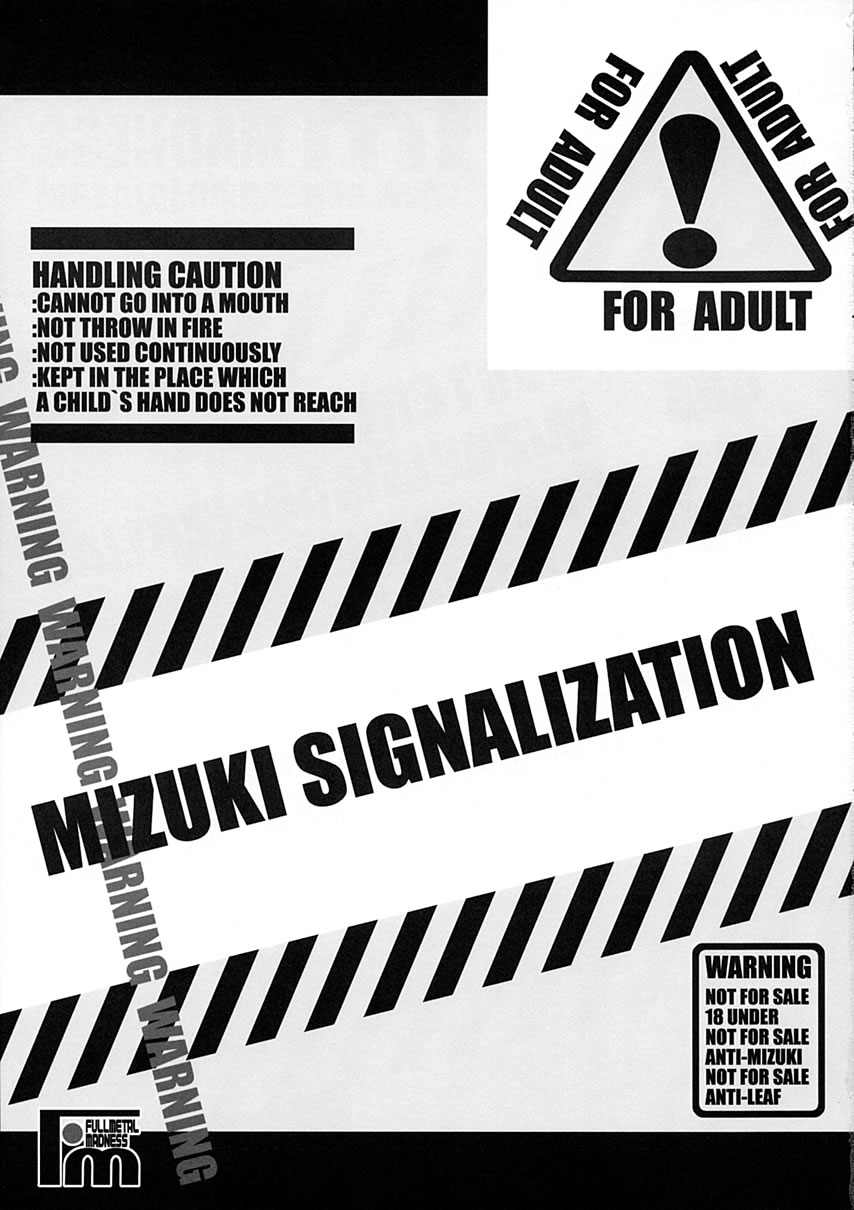 MIZUKI SIGNALIZATION page 2 full