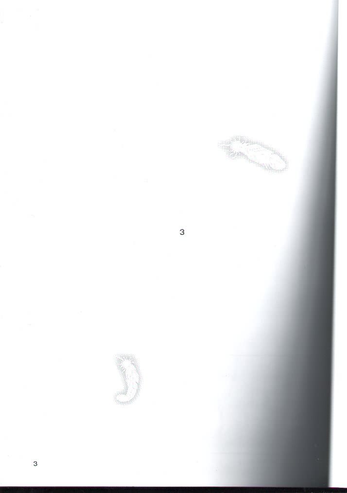 Canaan 3 ~Risoukyou~ page 2 full