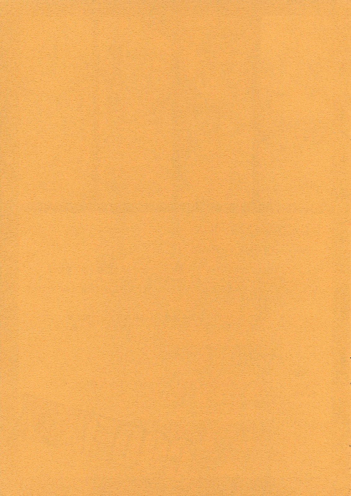 Code XXX page 2 full