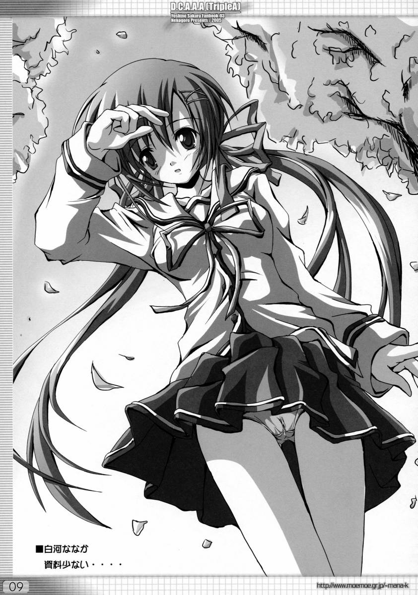 D.C.A.A.A page 8 full