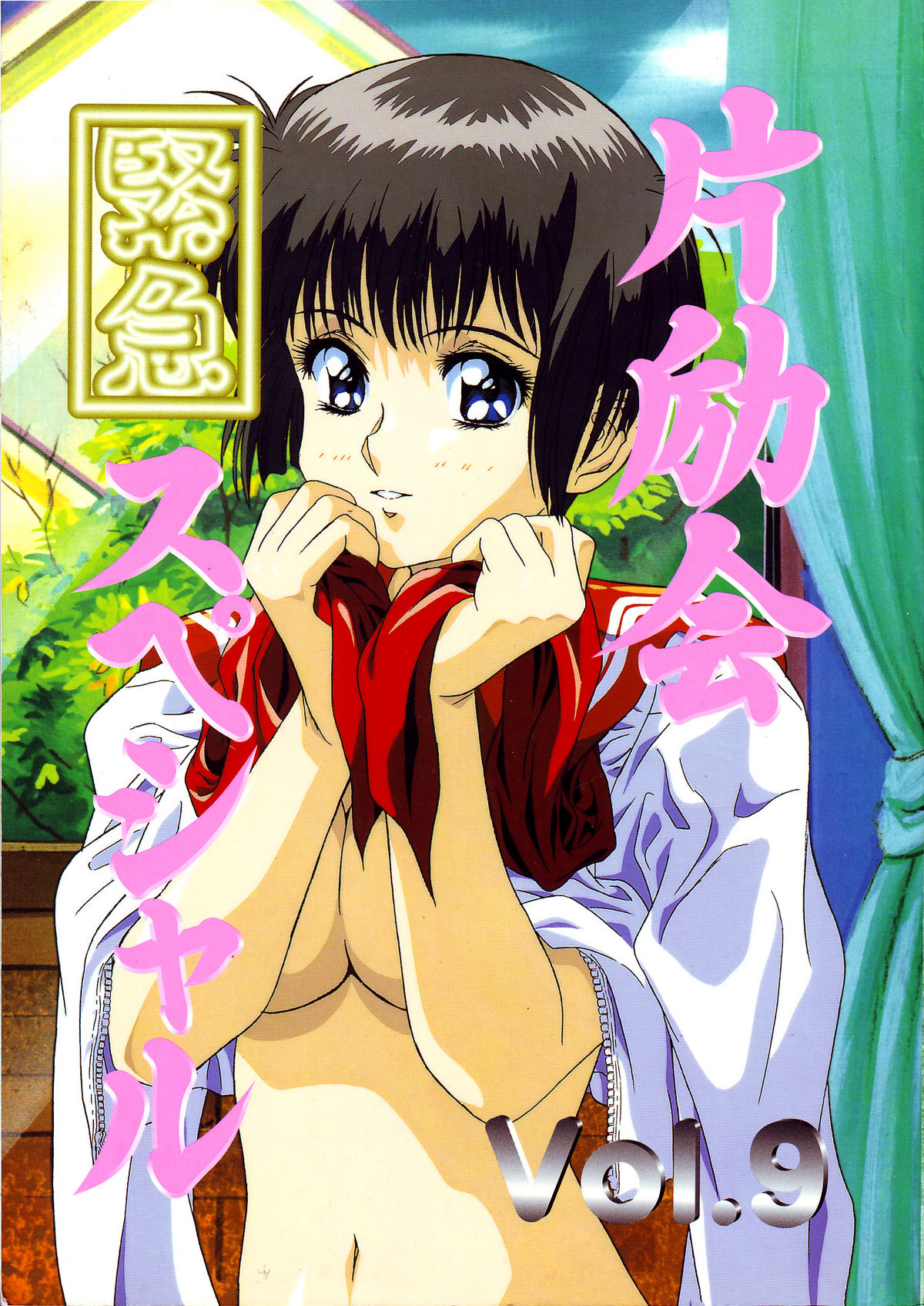 Hen Rei Kai Special Vol. 9 page 1 full