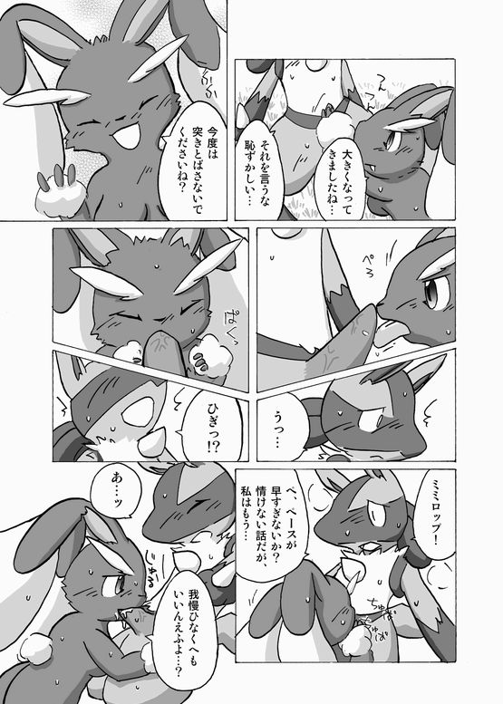 Lucario and Lopunny doujin page 9 full