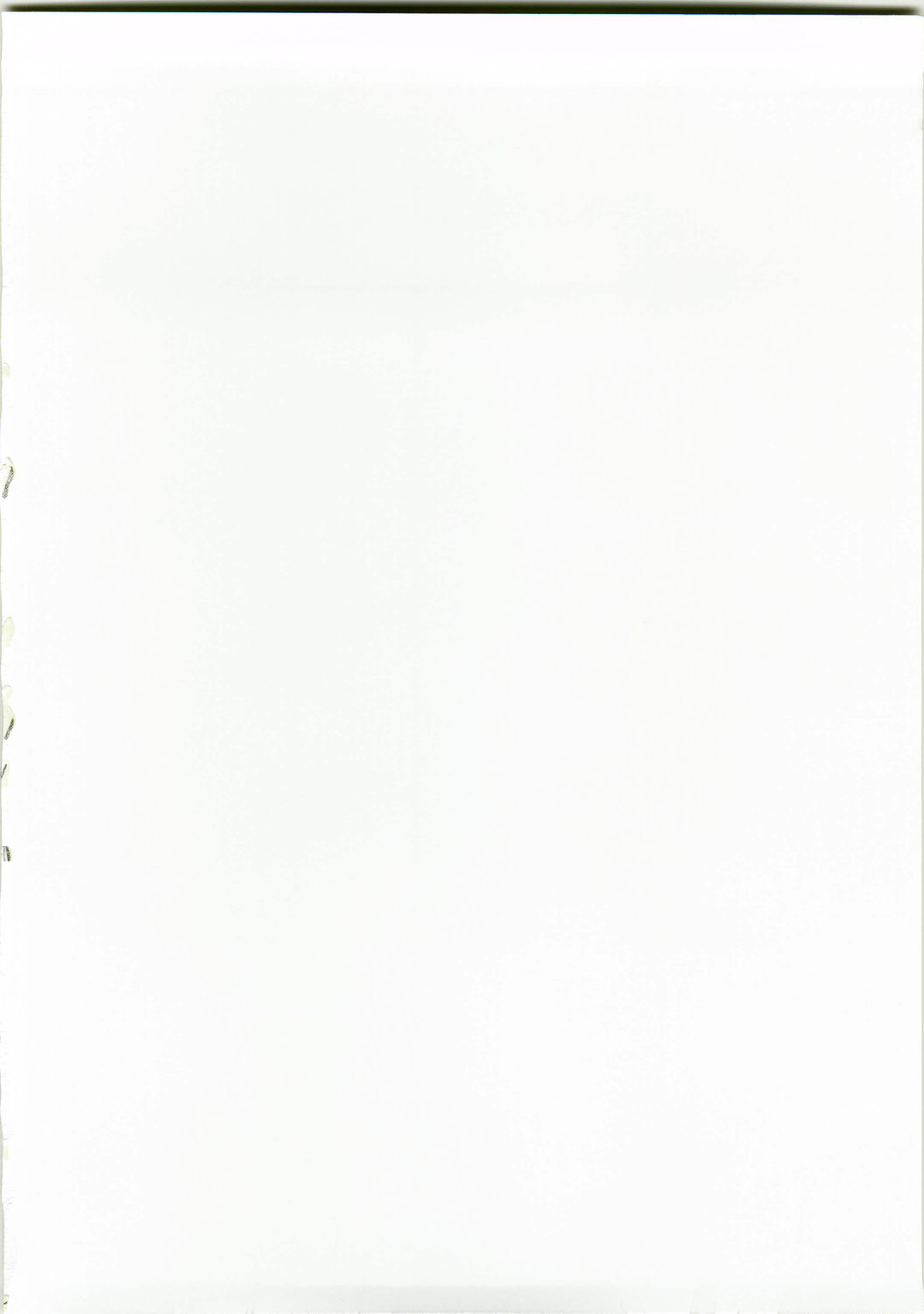 B.F.D 06 page 2 full