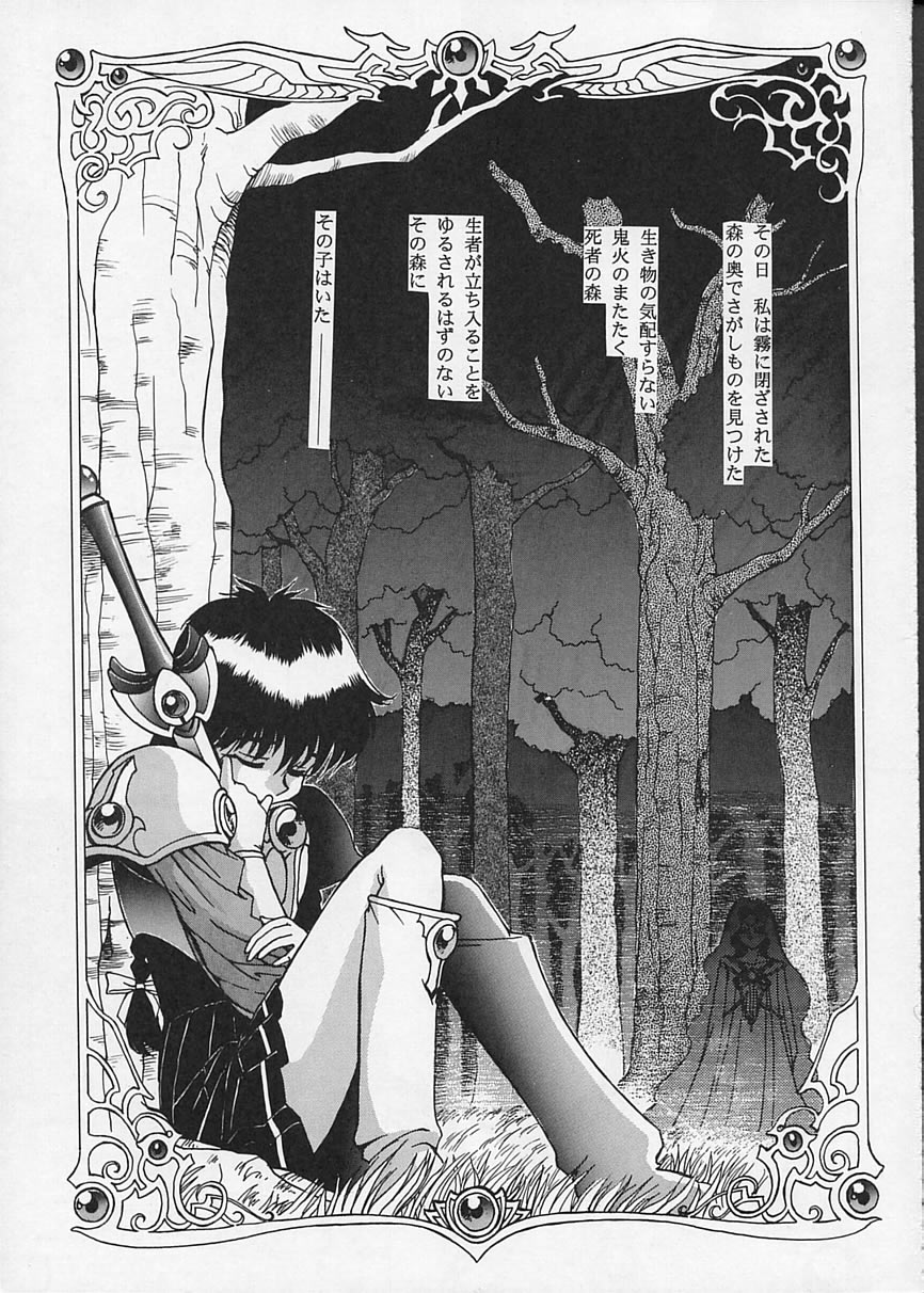 FOGGY FOREST page 2 full