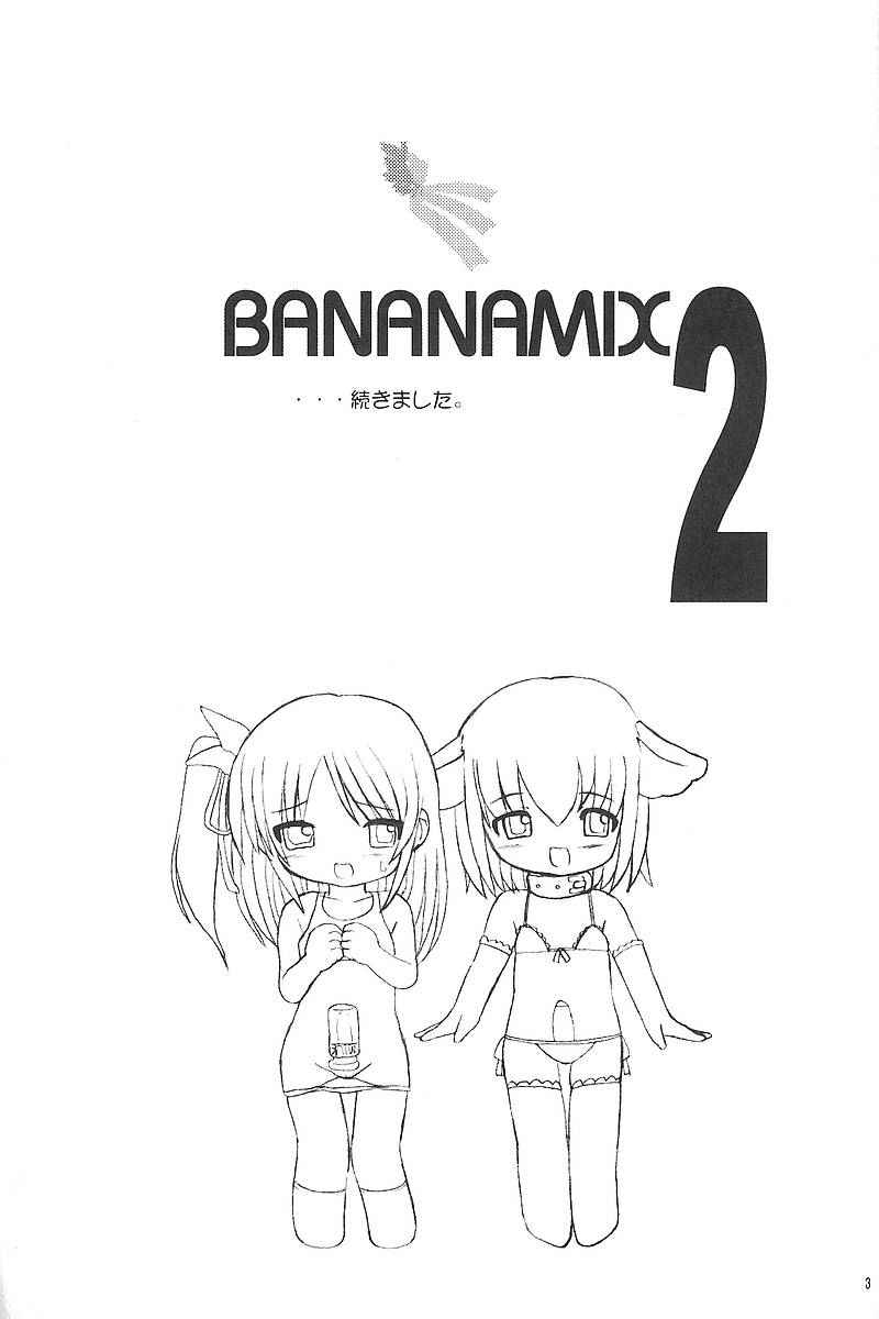 BANANAMIX 2 page 2 full