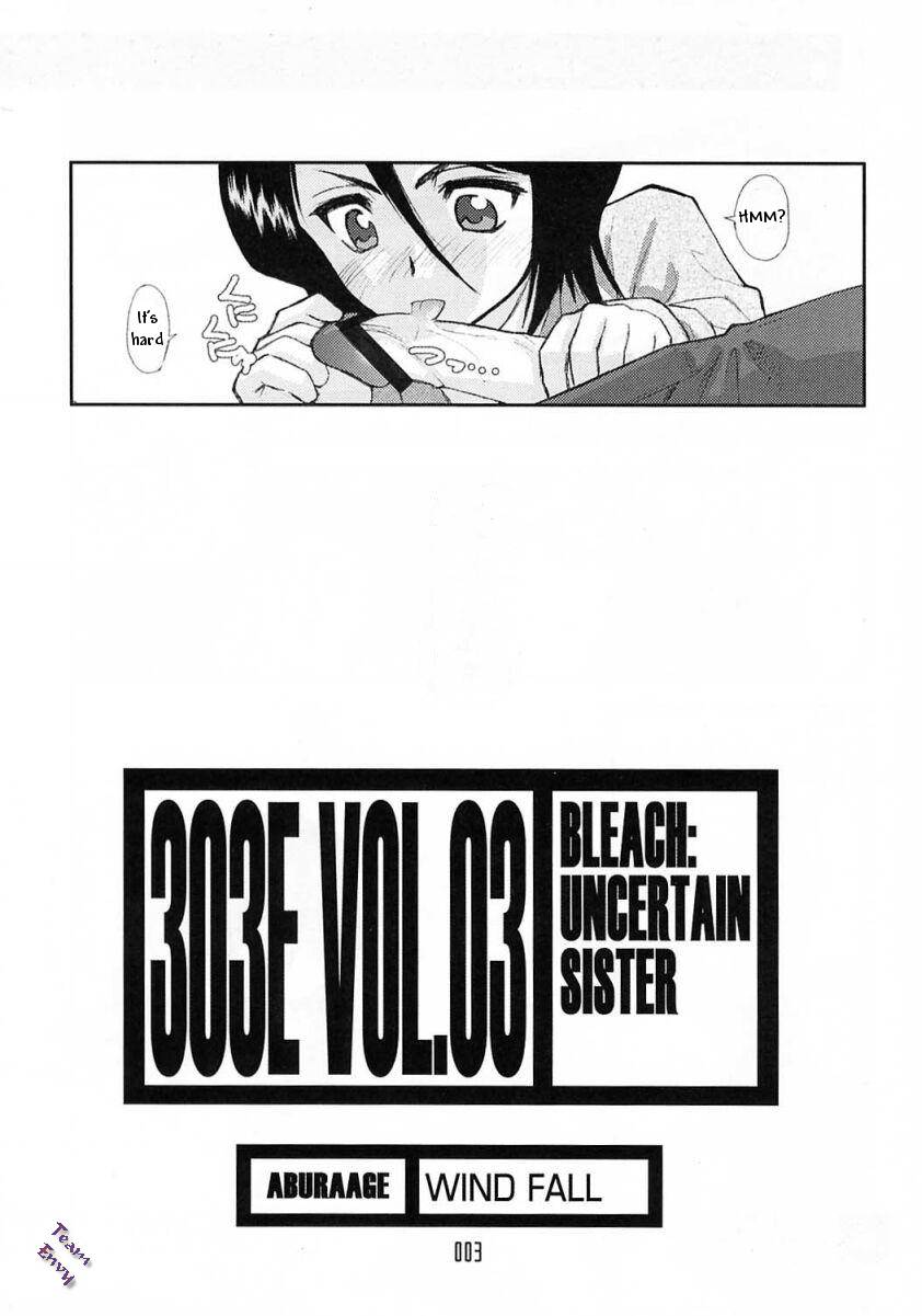 303e Vol.03 Bleach Edition - Uncertain Sister page 2 full