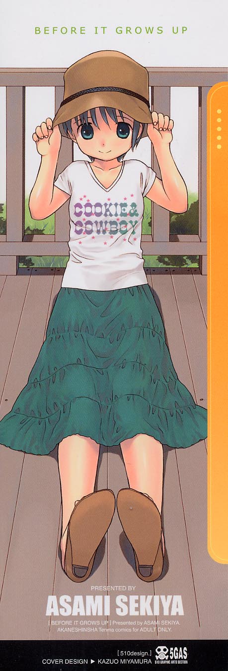 Otona ni Naru Mae ni - Before It Grows Up page 3 full