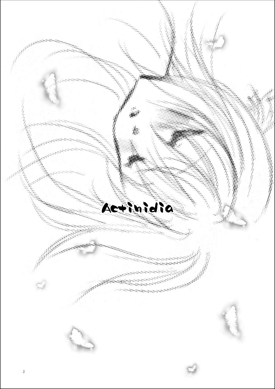 Actinidia page 3 full