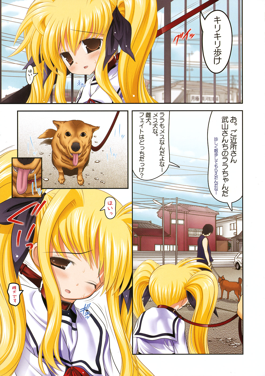 New Fate-chan. Mahiru no Rojou Choukyou Hen ALL Full Color Soushuuhen page 6 full