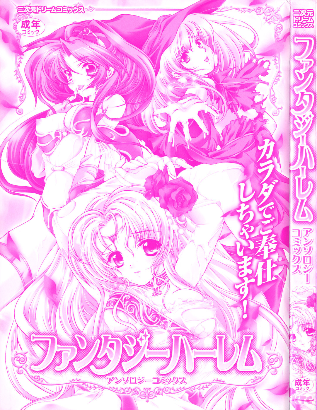 Fantasy Harem page 2 full