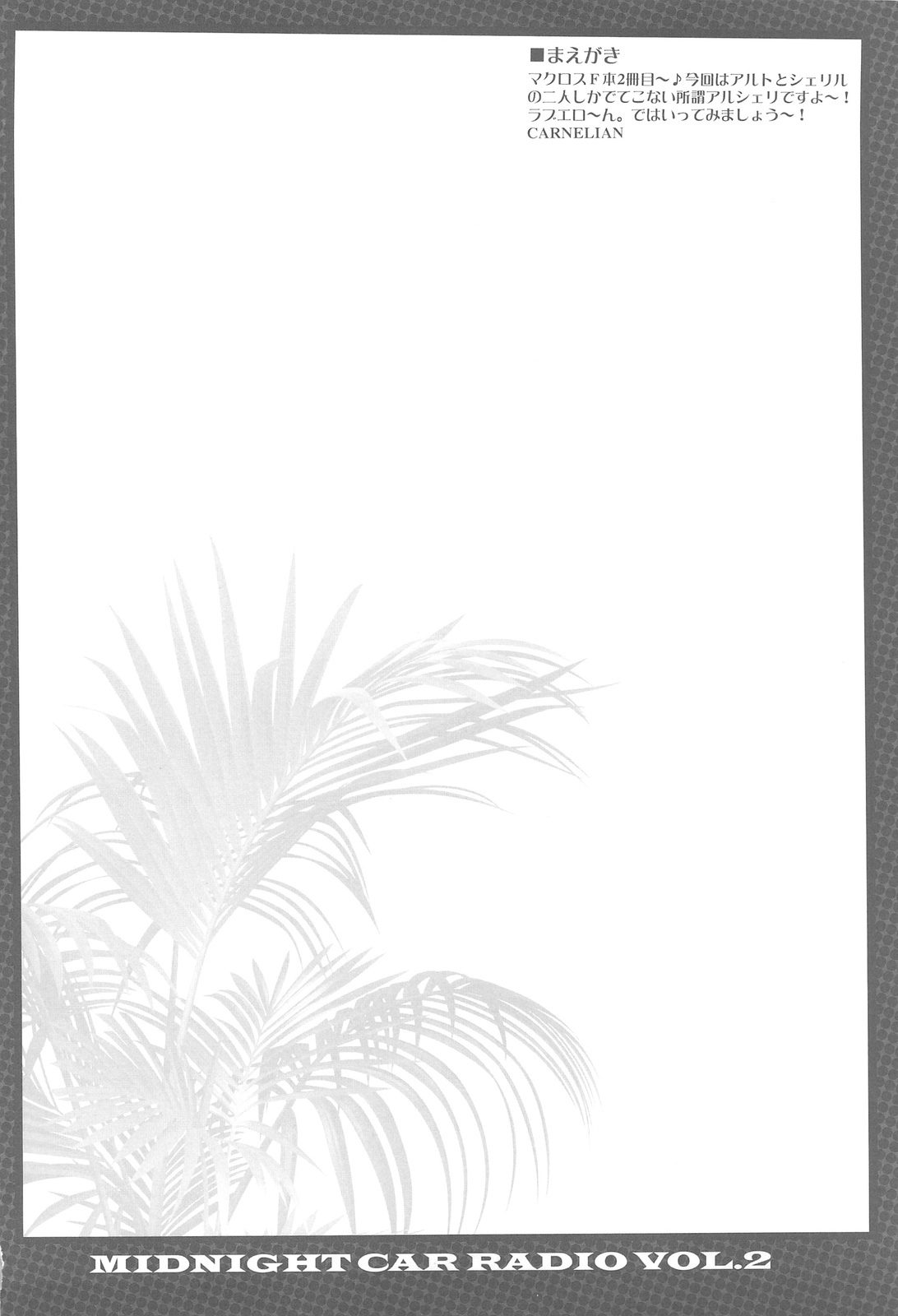 MIDNIGHT CAR RADIO VOL. 2 page 3 full