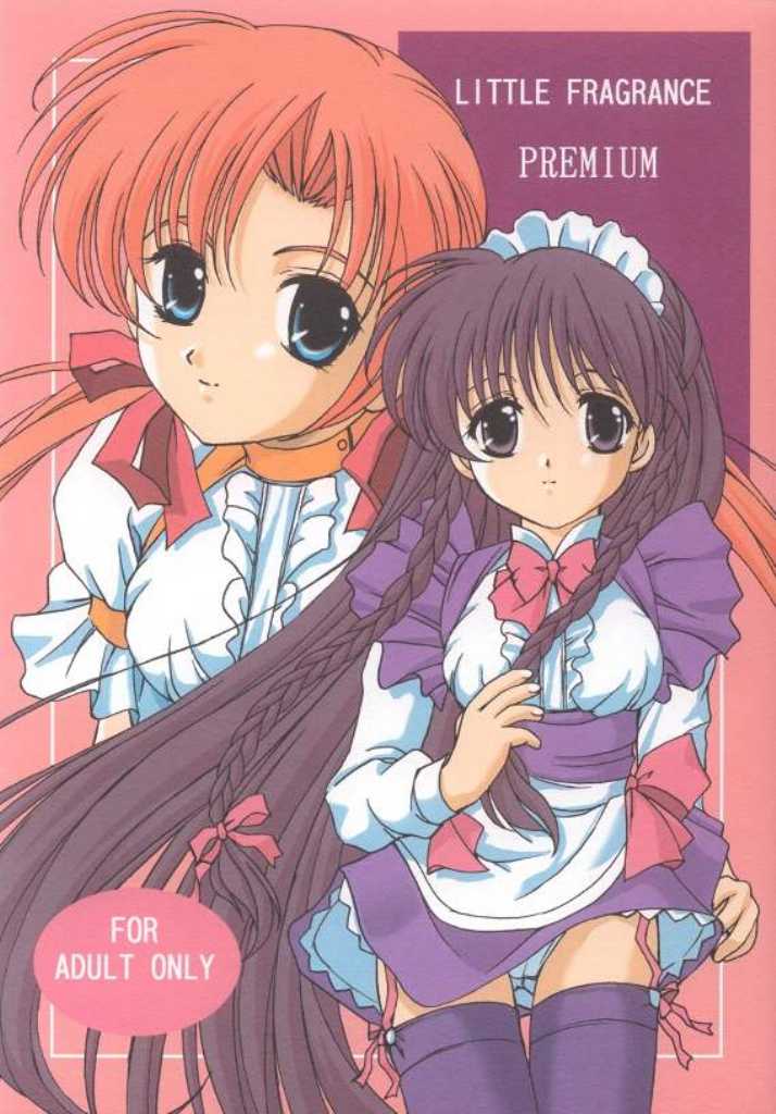 LITTLE FRAGRANCE PREMIUM page 1 full