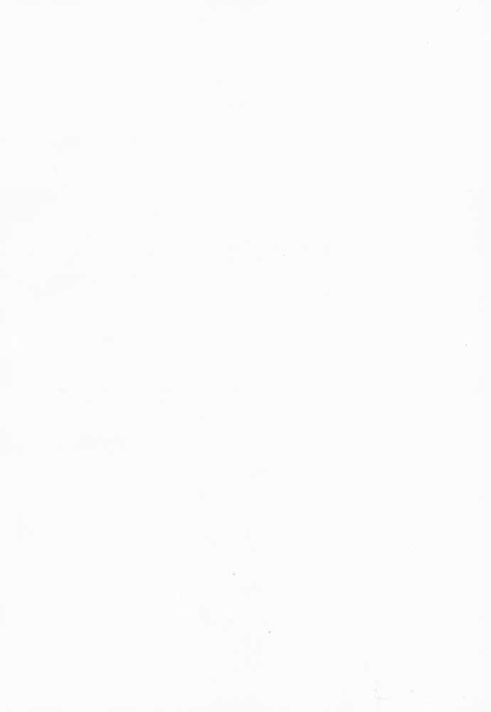 Hanachirusato page 3 full