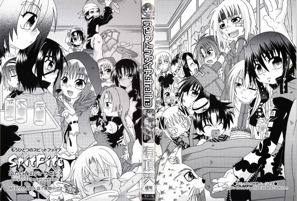 Spitfire Sireline page 2 full