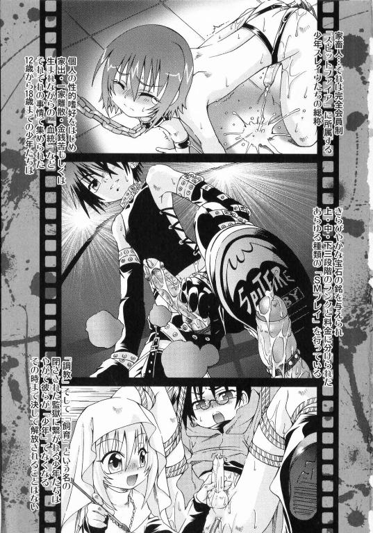 Spitfire Sireline page 6 full