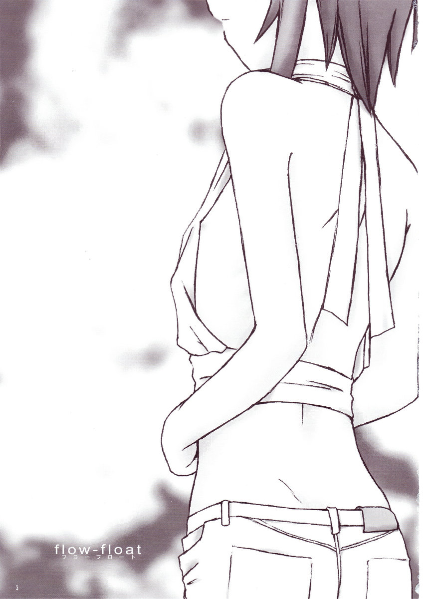 flow-float page 2 full