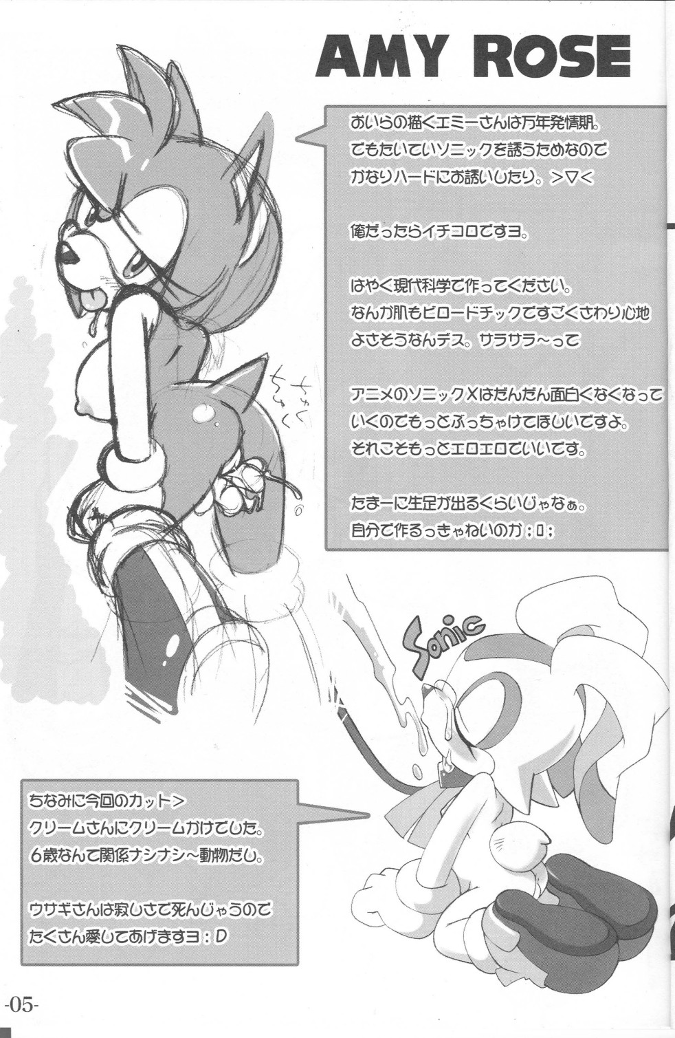 Ore no Fuyu 2003 Sonic Sexual page 4 full