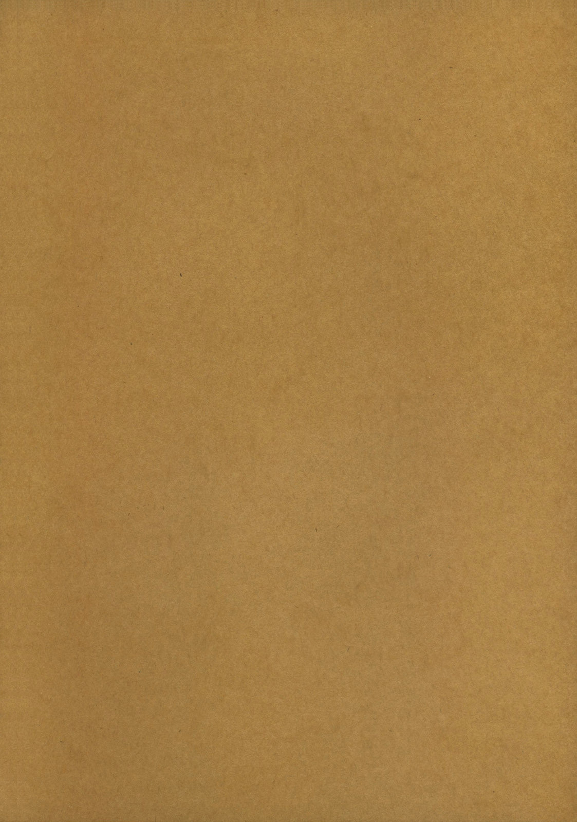 PARTYCARONADE page 3 full