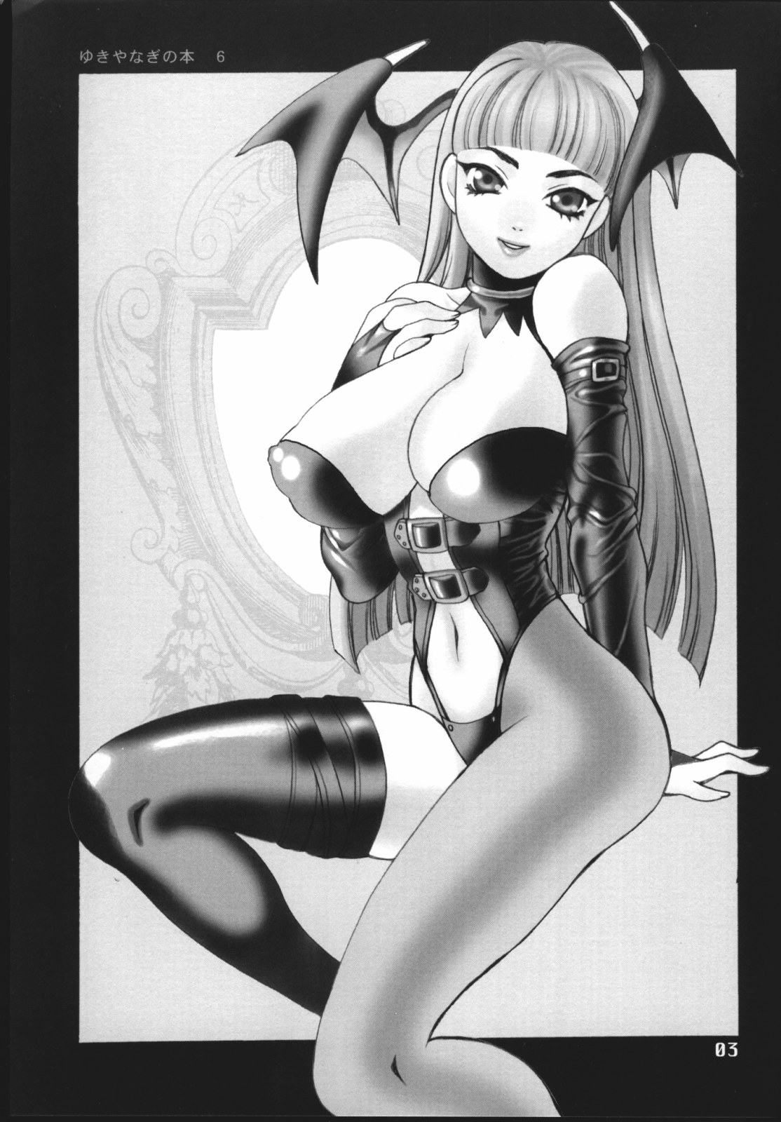 Yukiyanagi no Hon 6 Morrigan Leather Type page 4 full