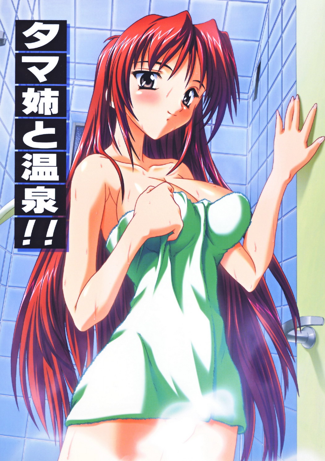 Tama-nee to Onsen!! page 1 full