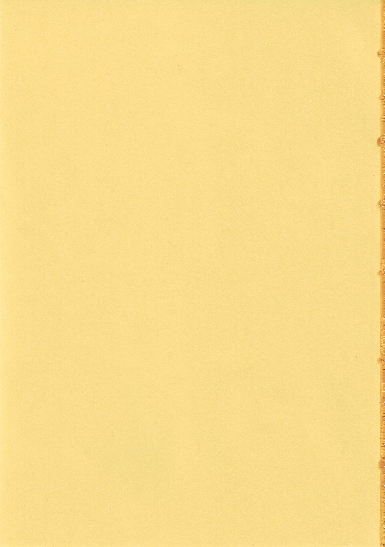 Nyandaful Power! page 2 full