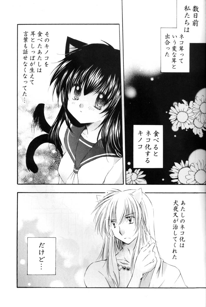 Neko Moe 2 page 4 full