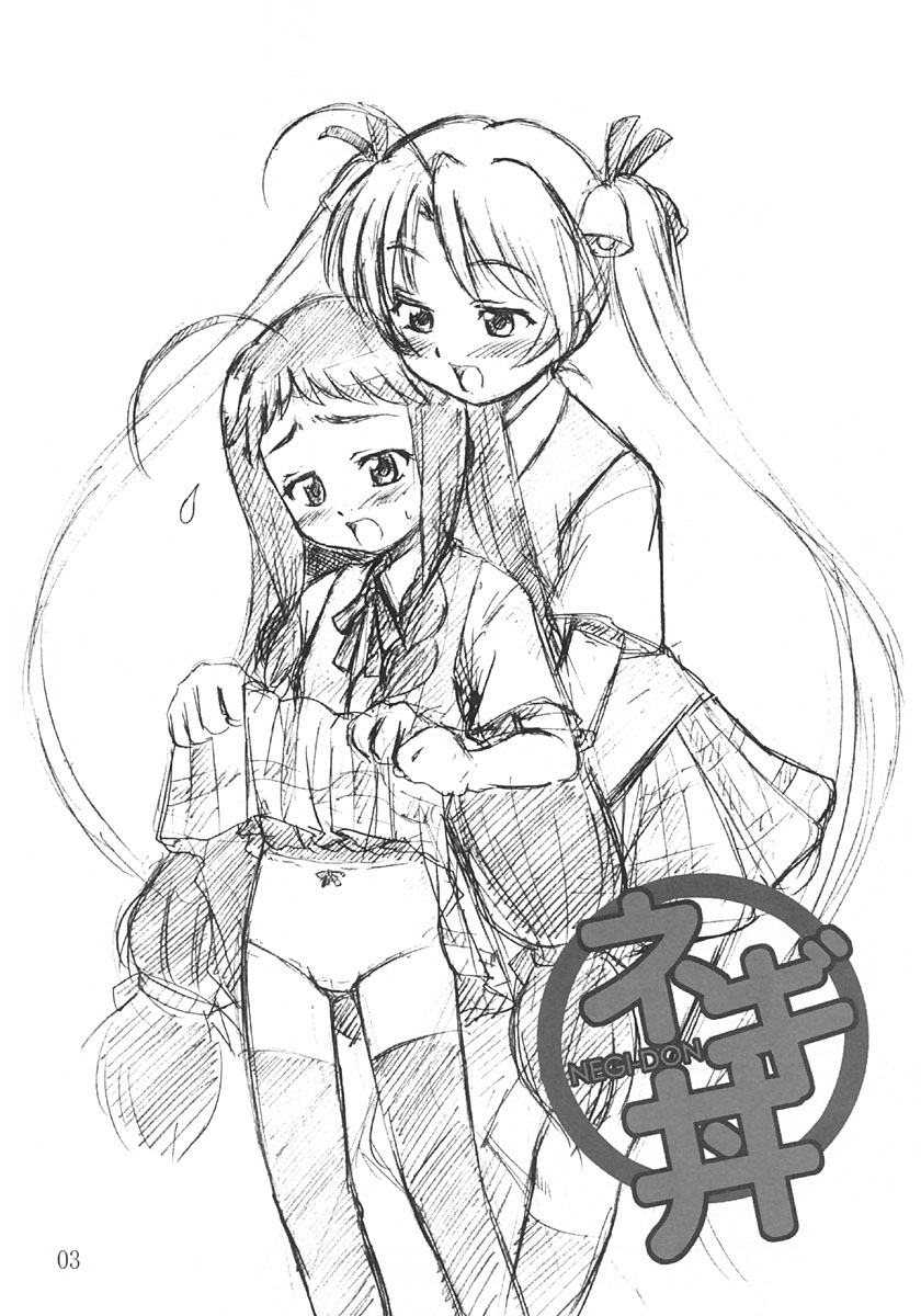 NEGI-DON page 2 full