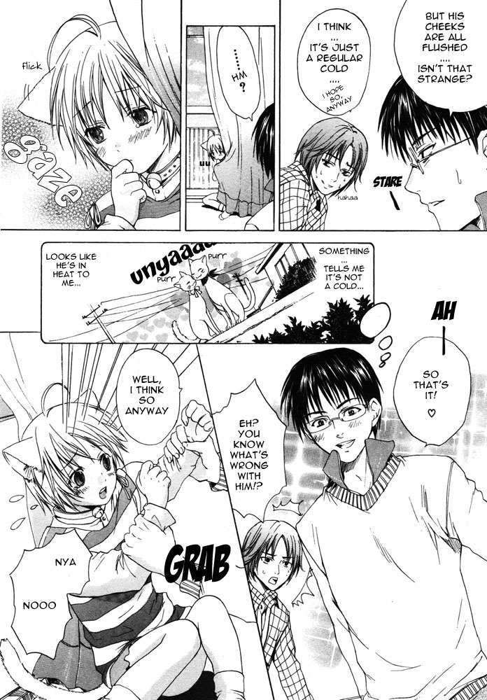 Neko Life | Cat Life page 4 full