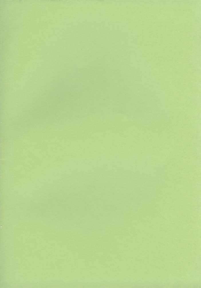 Nijuuyon no Hitomi Joukan page 5 full