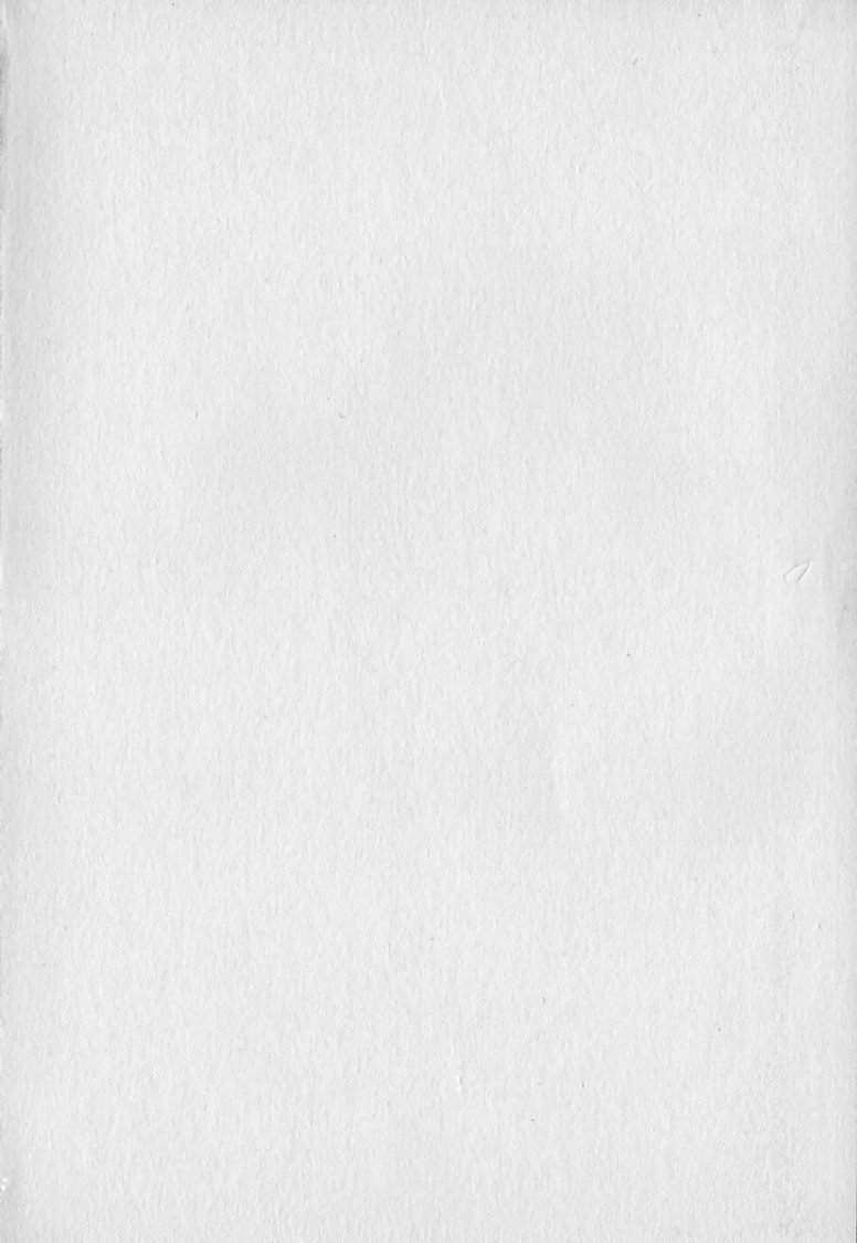 Revolution. No.12 Vol. 2 page 4 full