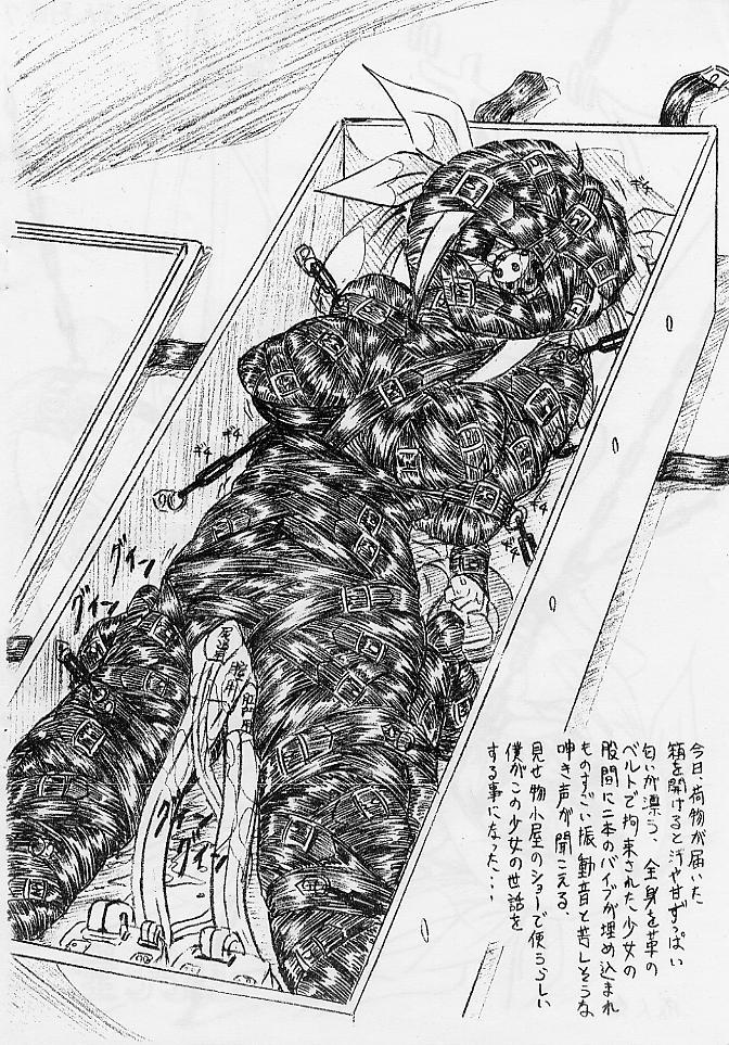 Vivian Bessatsu Soushuuhen 02 Dizzy -Niku no Jabukuro- page 2 full