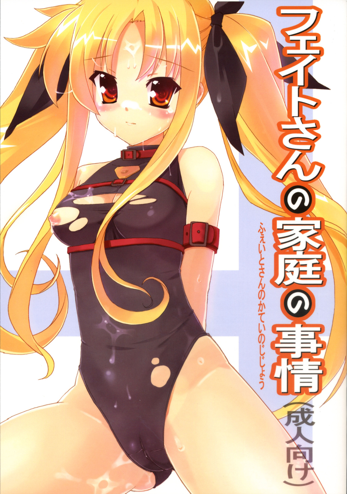 Fate-san no Katei no Jijou page 1 full