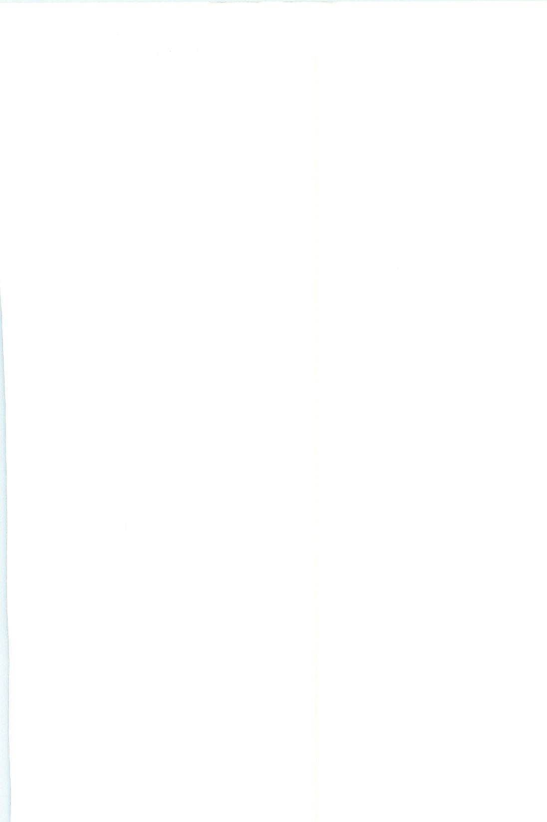 Seirei Tokusou Fairy Saber W Inma Kari page 4 full