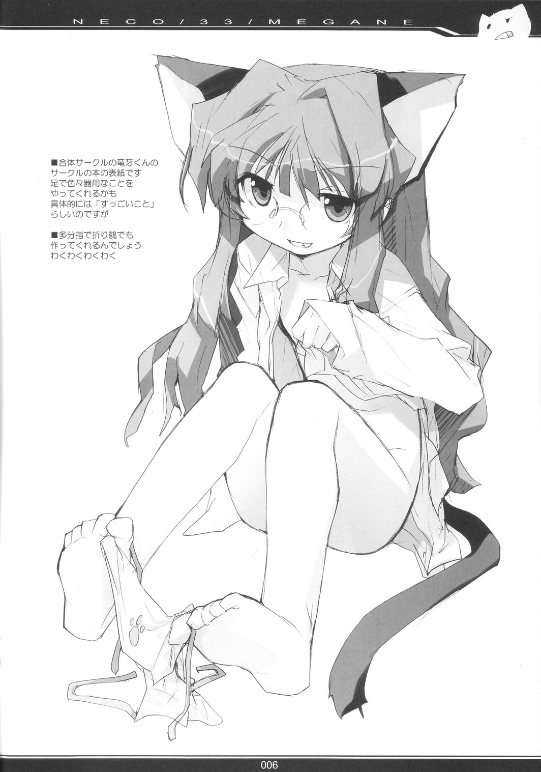 NECO/33/MEGANE page 5 full