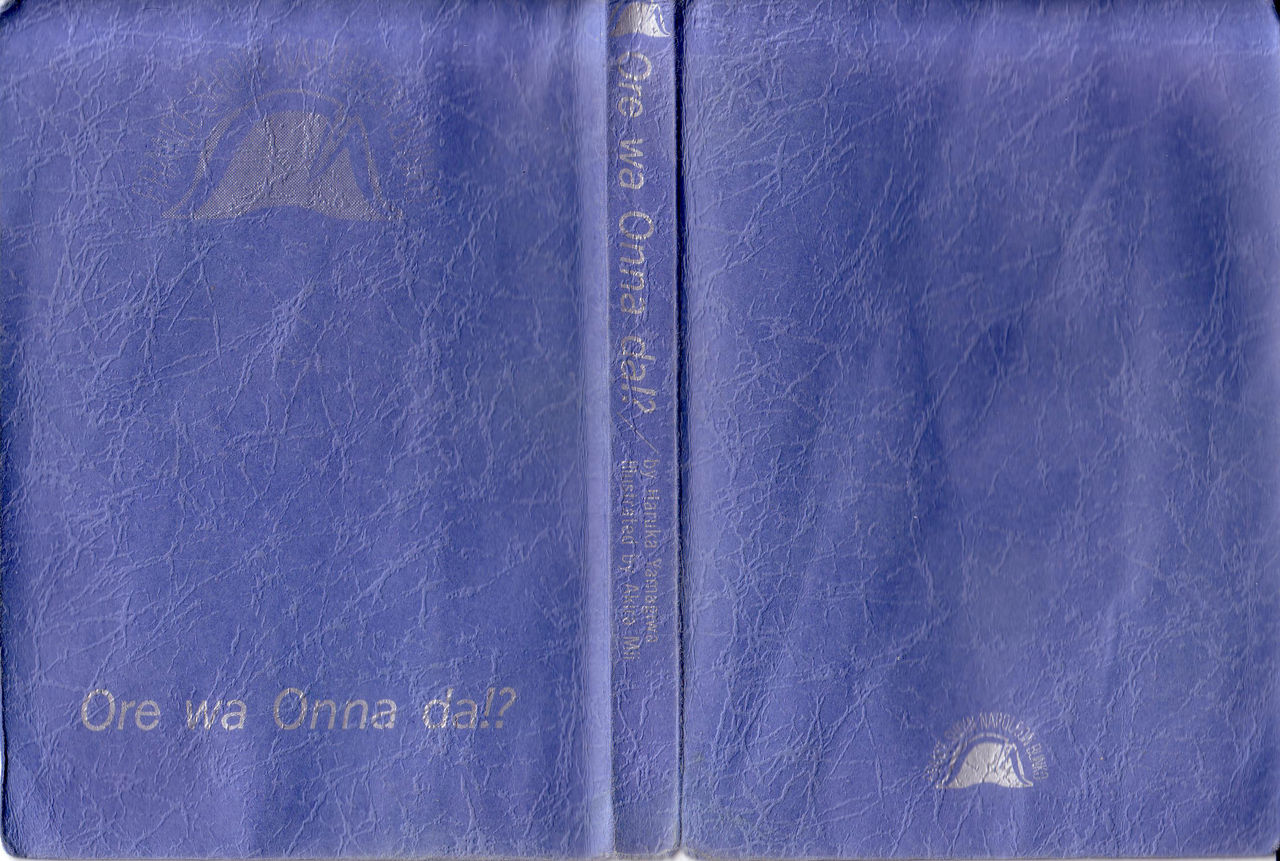 Ore wa Onna da!? page 3 full