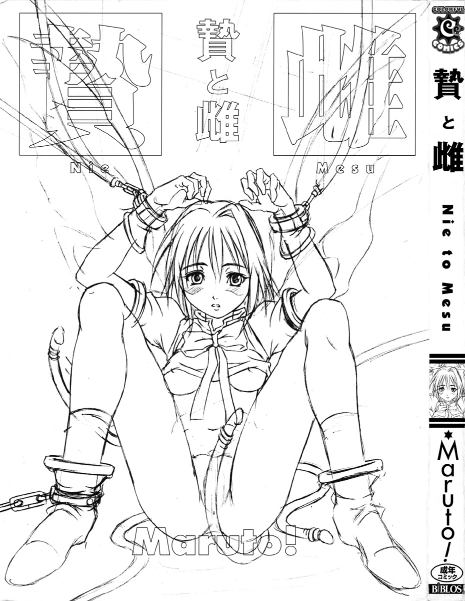 Nie to Mesu page 4 full