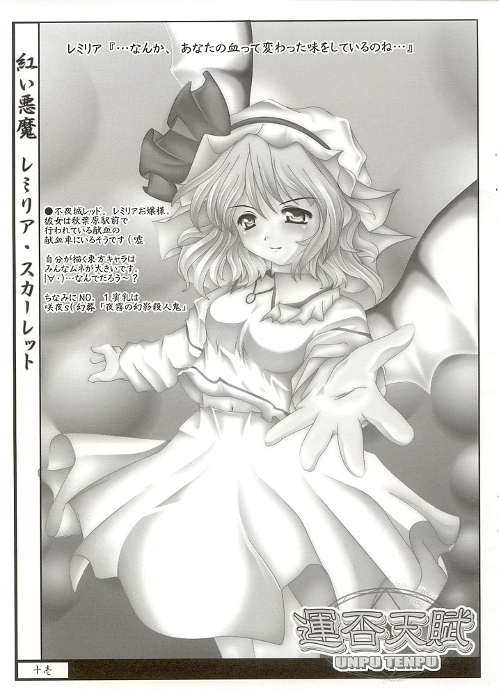 Moe Touhou Gensoukyou - Unpu Tenpu page 10 full