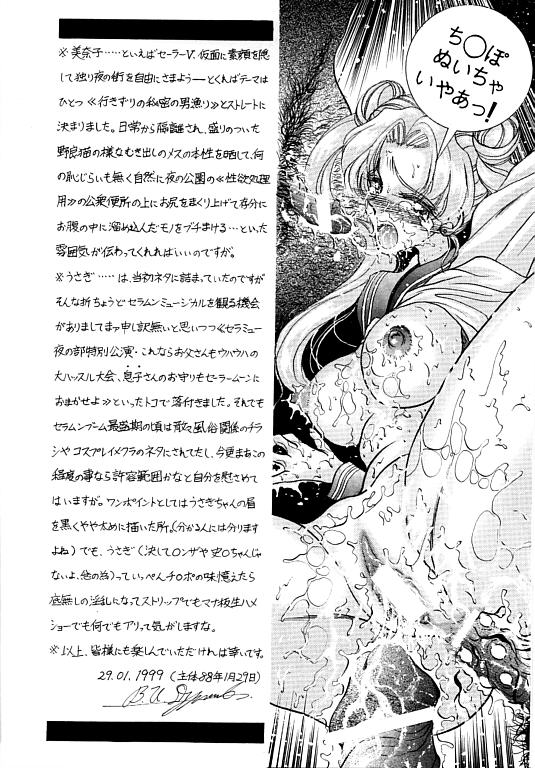 COLLECTION OF <<SAILORMOON>> ILLUSTRATIONS FOR ADULT Vol. 1 page 3 full