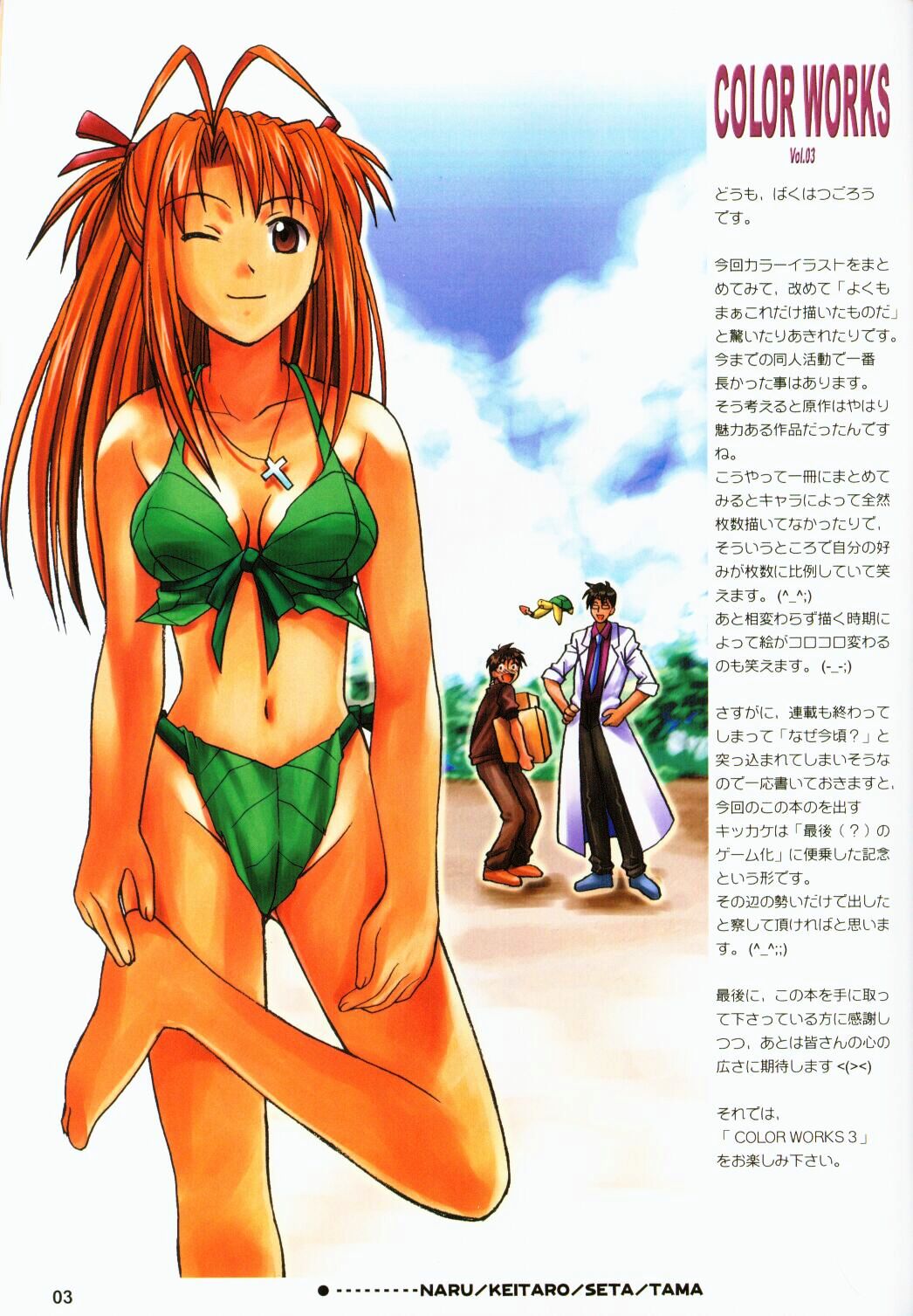 COLOR WORKS Vol. 03 page 2 full