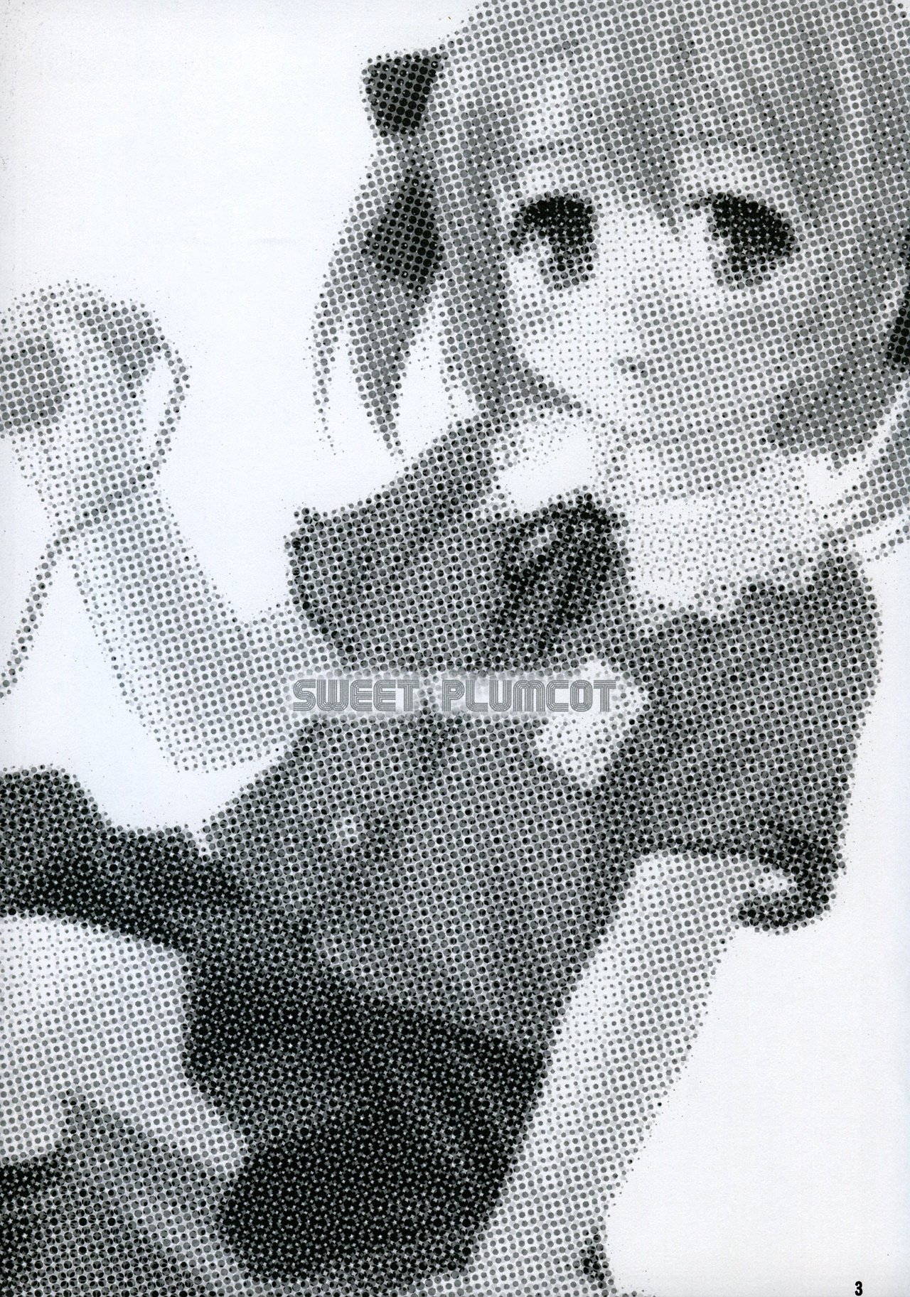 Sweet Plumcot page 3 full