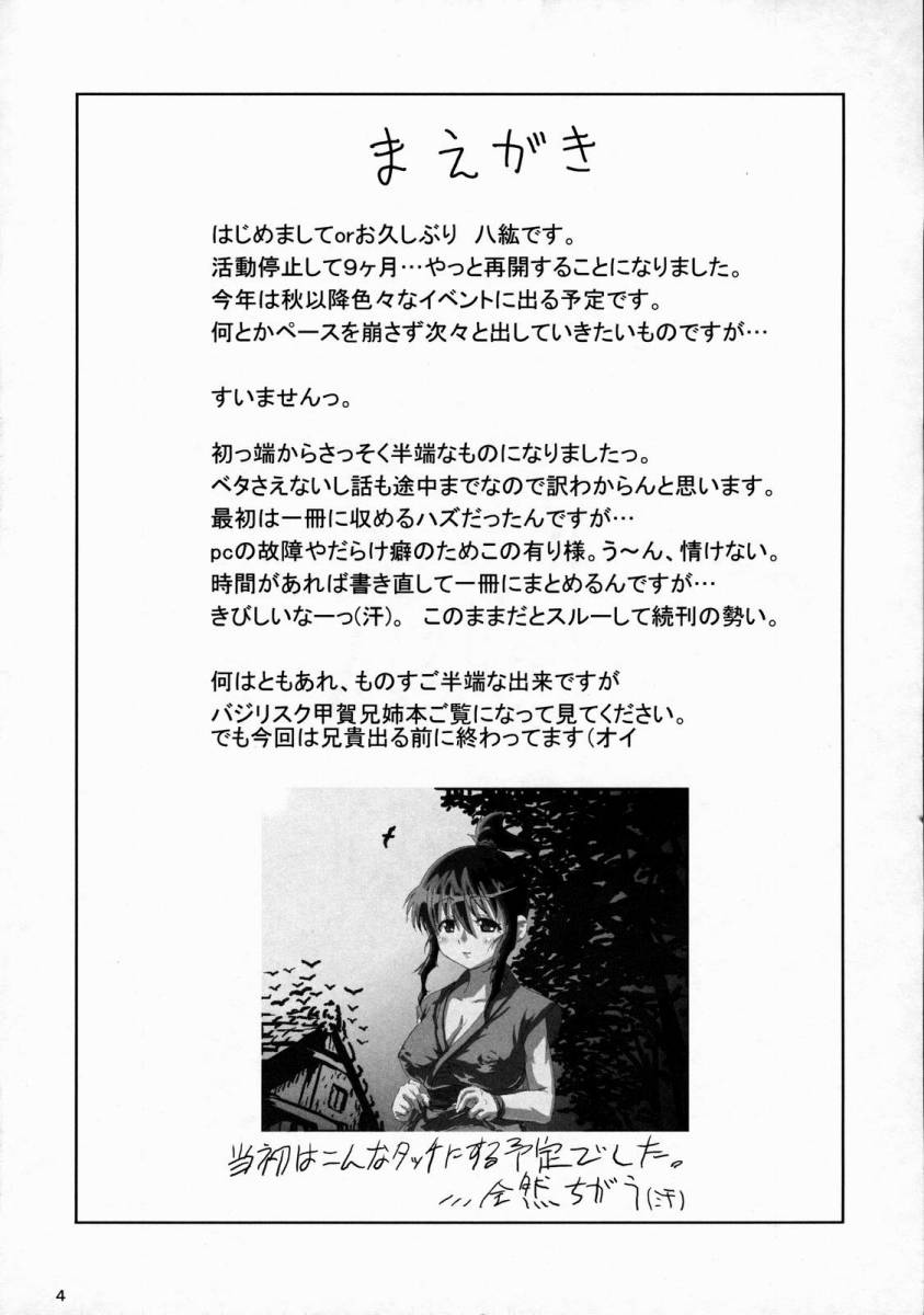 Lisk ~Kouga Keimai Inpouchou~ page 3 full