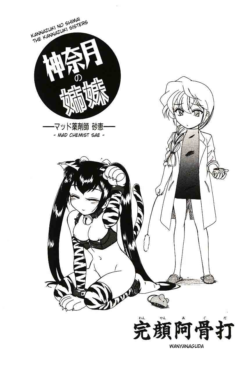 Kannaduki no Shimai - Mad Yakuzaishi Sae  =YQII= page 6 full