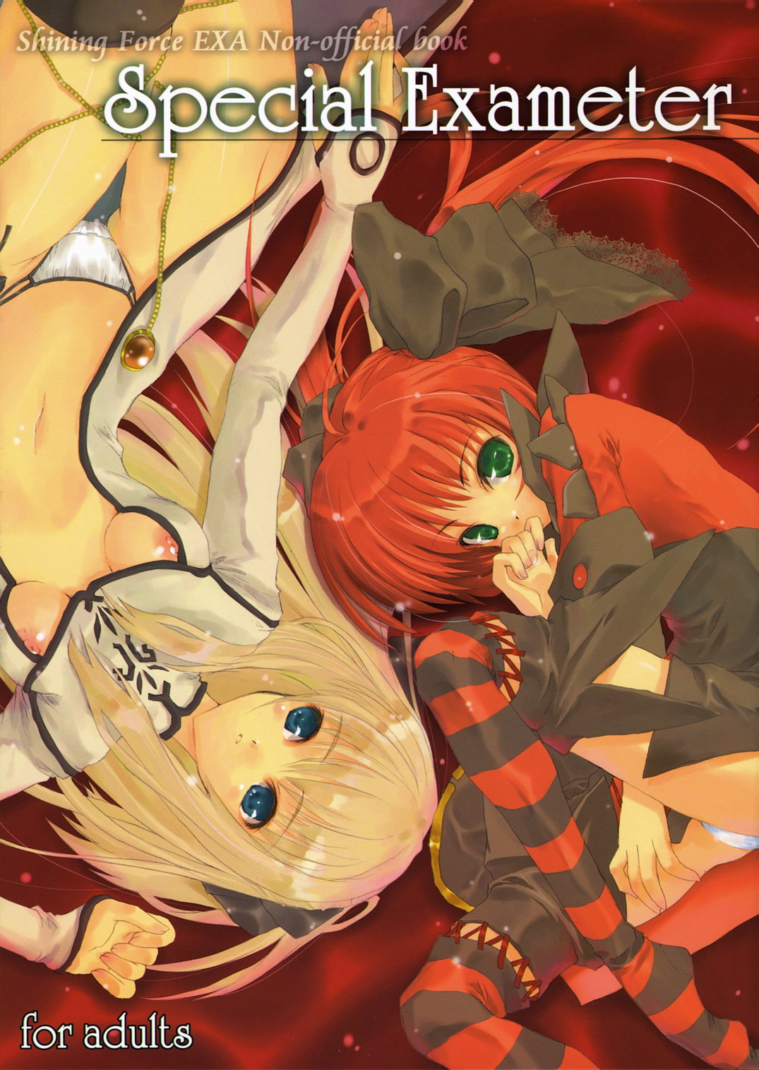 Special Exameter page 1 full