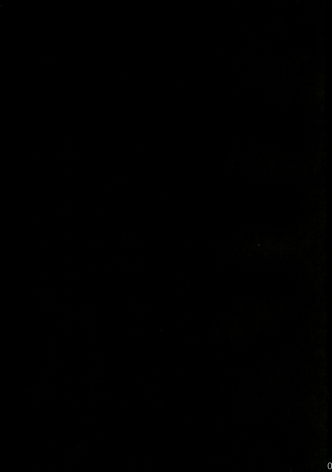 Shiawase ni Naritai Otona no Inaba DS page 2 full