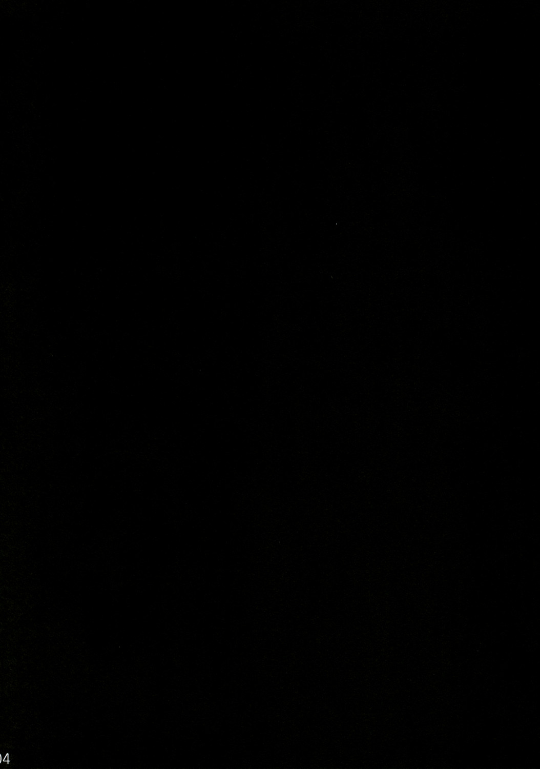 Shiawase ni Naritai Otona no Inaba DS page 3 full