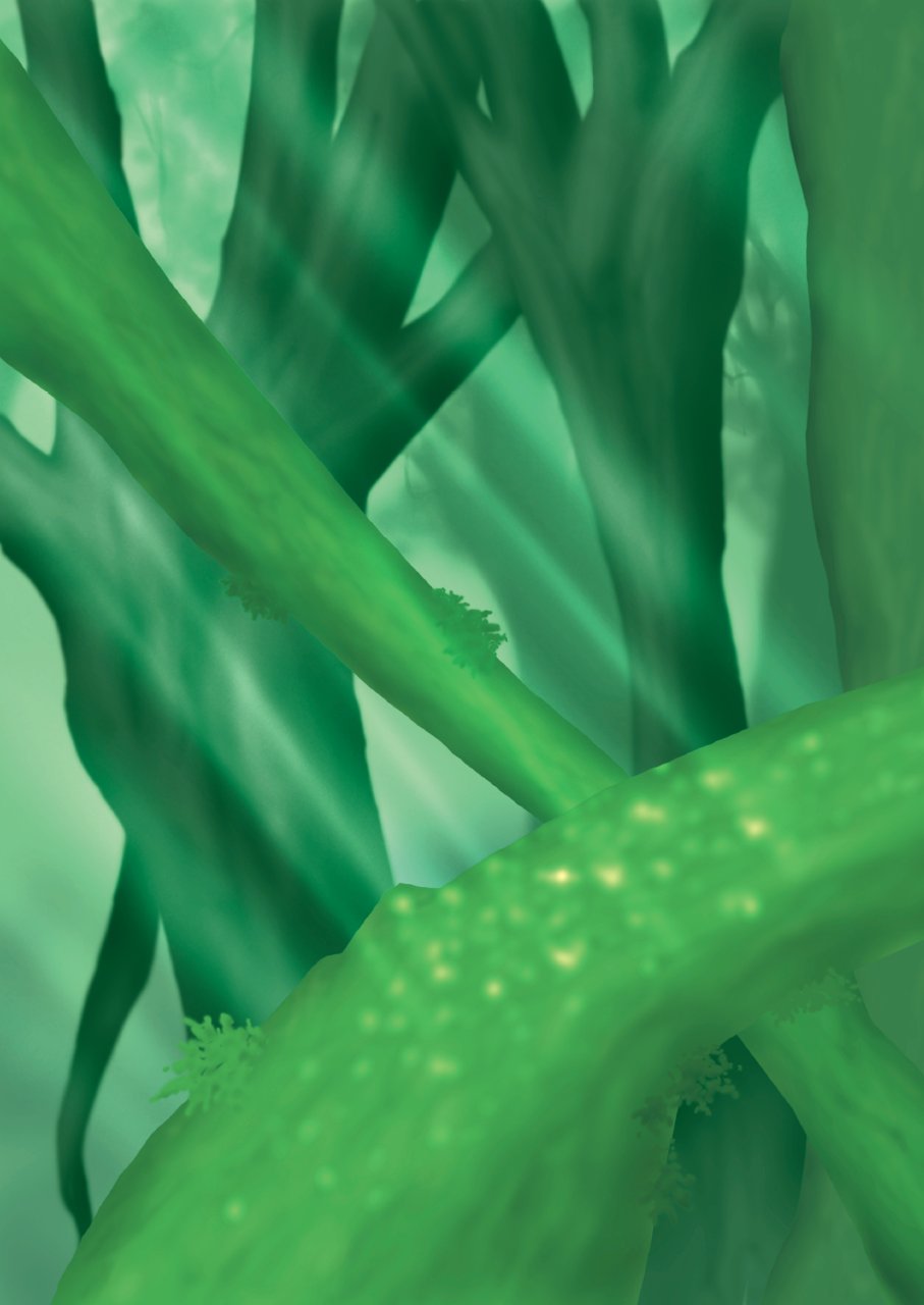 Odoru Kemono Tachi page 2 full