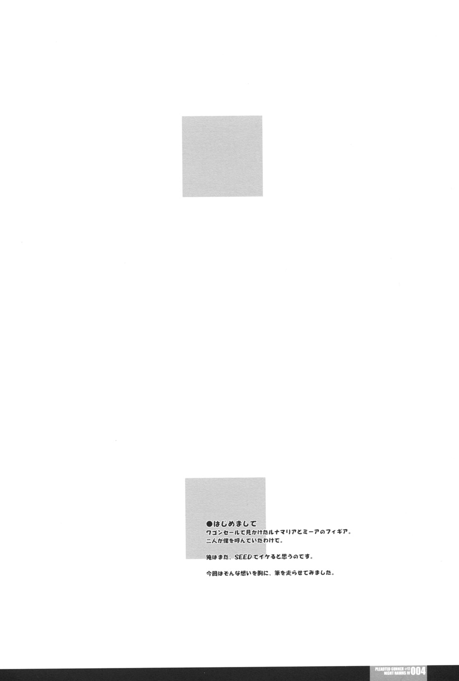 Pleated Gunner #17 - Night Hawks 4 page 4 full