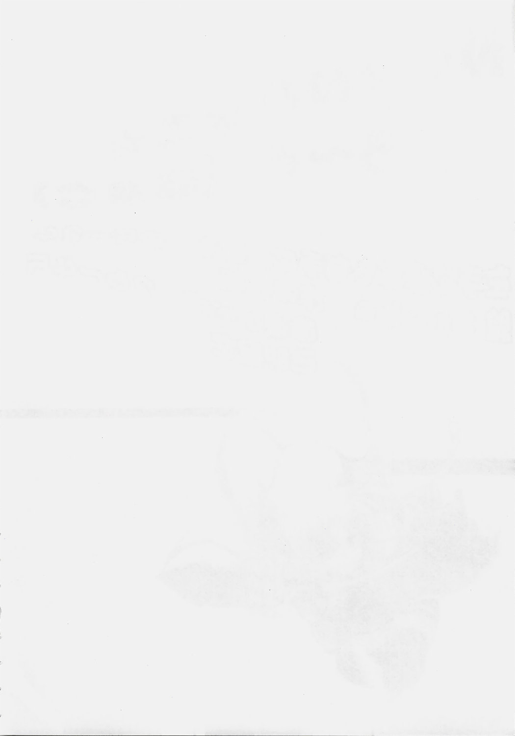 NO-NA-I Cheat page 3 full