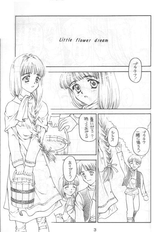 Shadow's 4 page 2 full